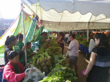 01_ビエンチャン市内の有機野菜市場1.jpg