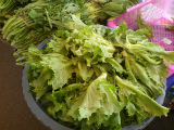 03_ビエンチャン市内の有機野菜市場3.jpg